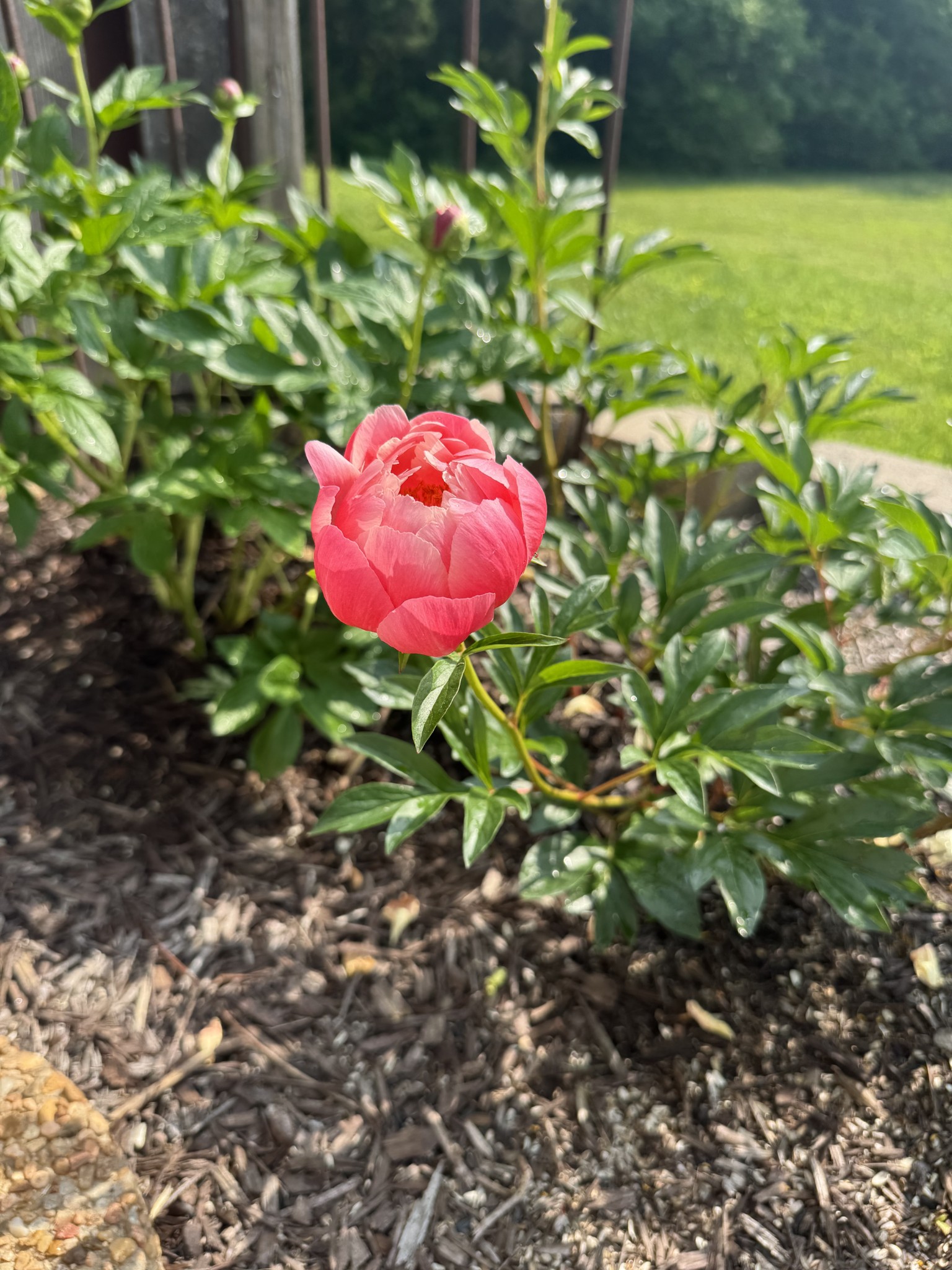 168 Stoners Glen Drive Hermitage TN 37076