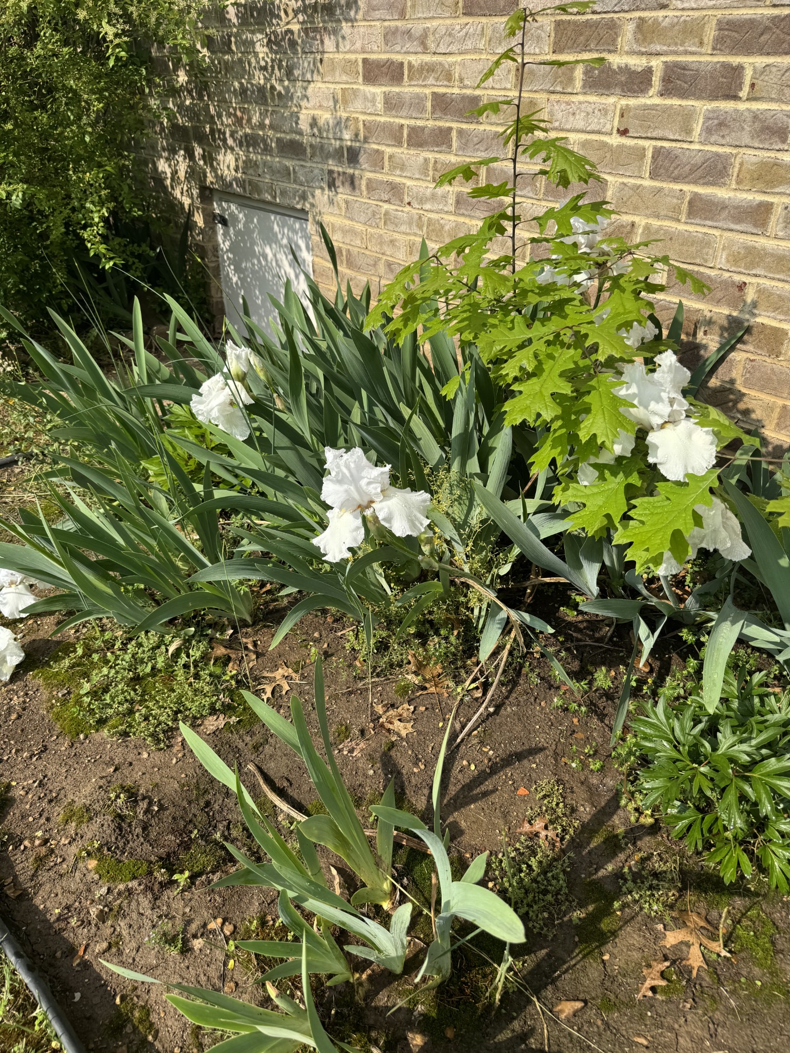 168 Stoners Glen Drive Hermitage TN 37076