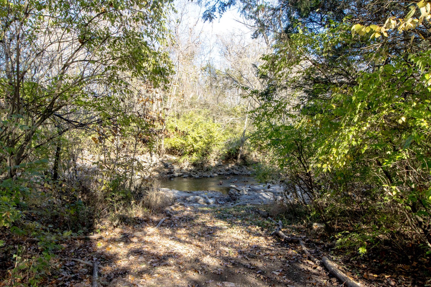 168 Stoners Glen Drive Hermitage TN 37076