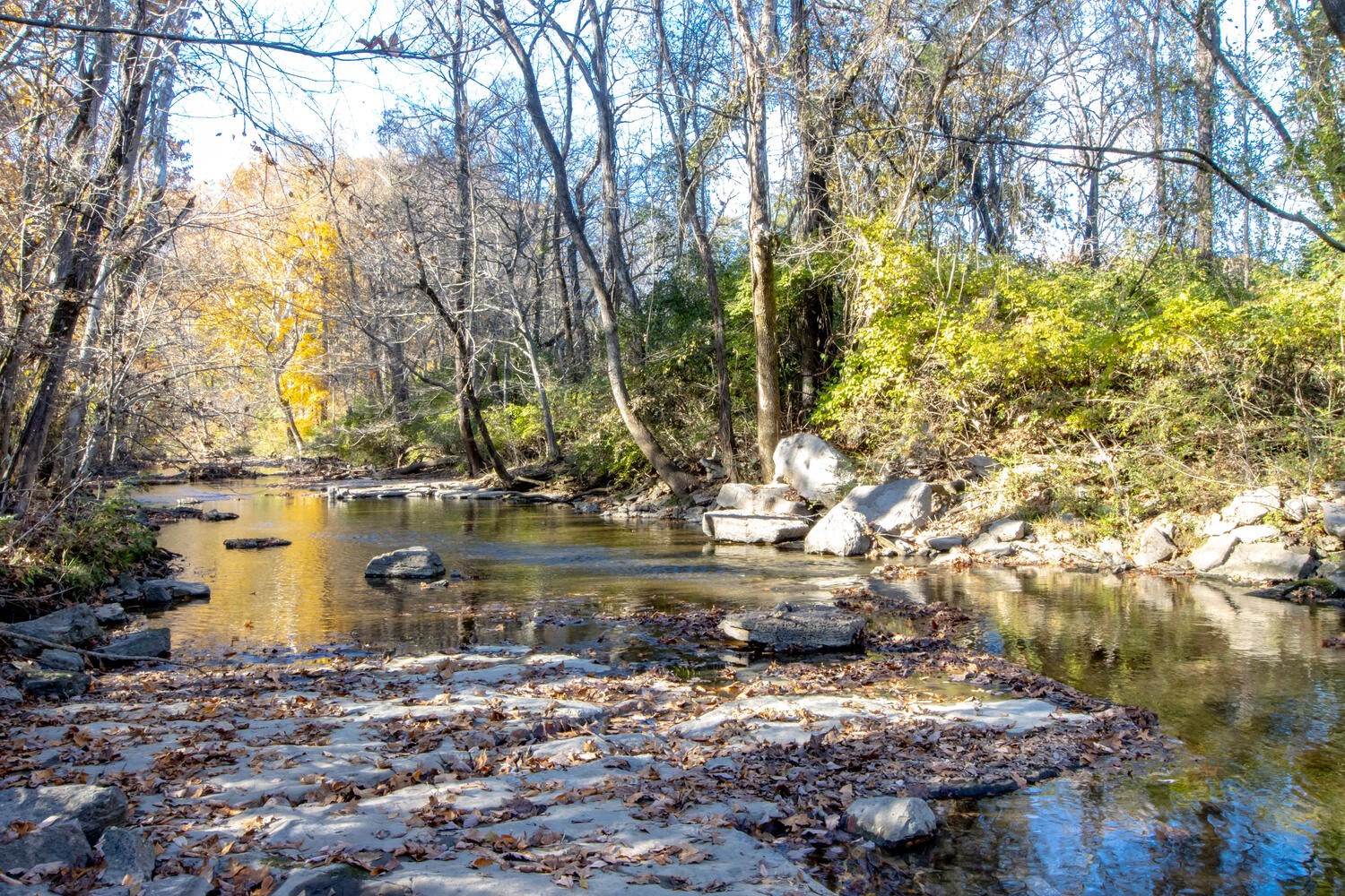 168 Stoners Glen Drive Hermitage TN 37076