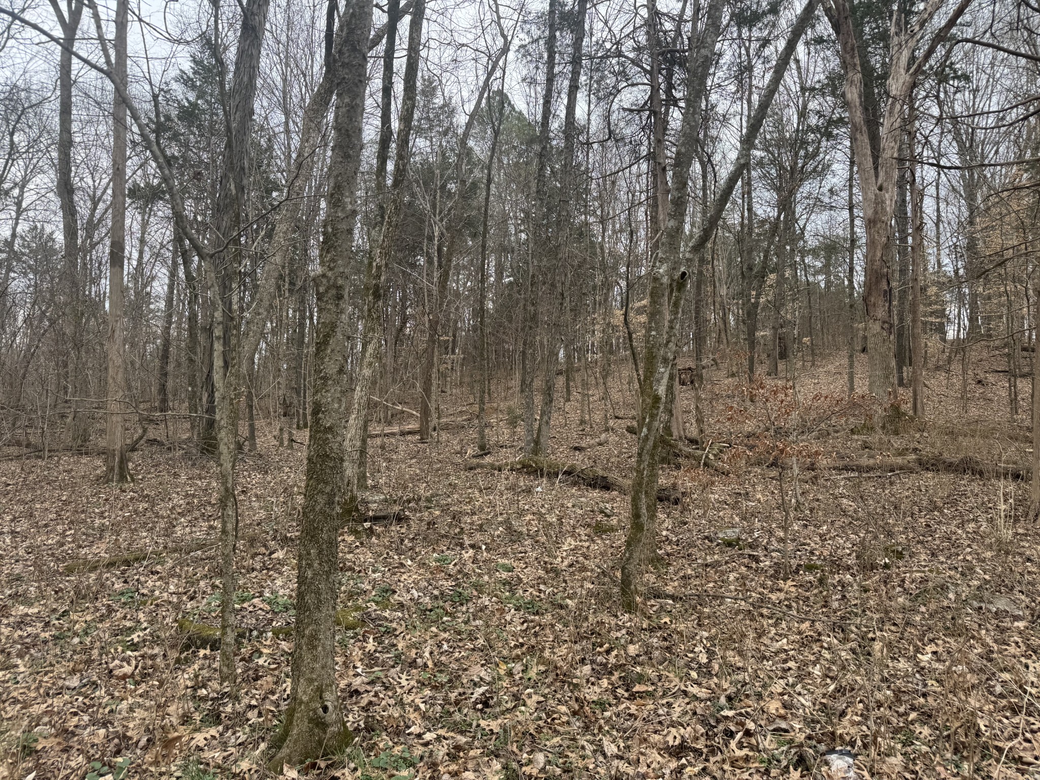 0 Highway 41 A, N Shelbyville TN 37160