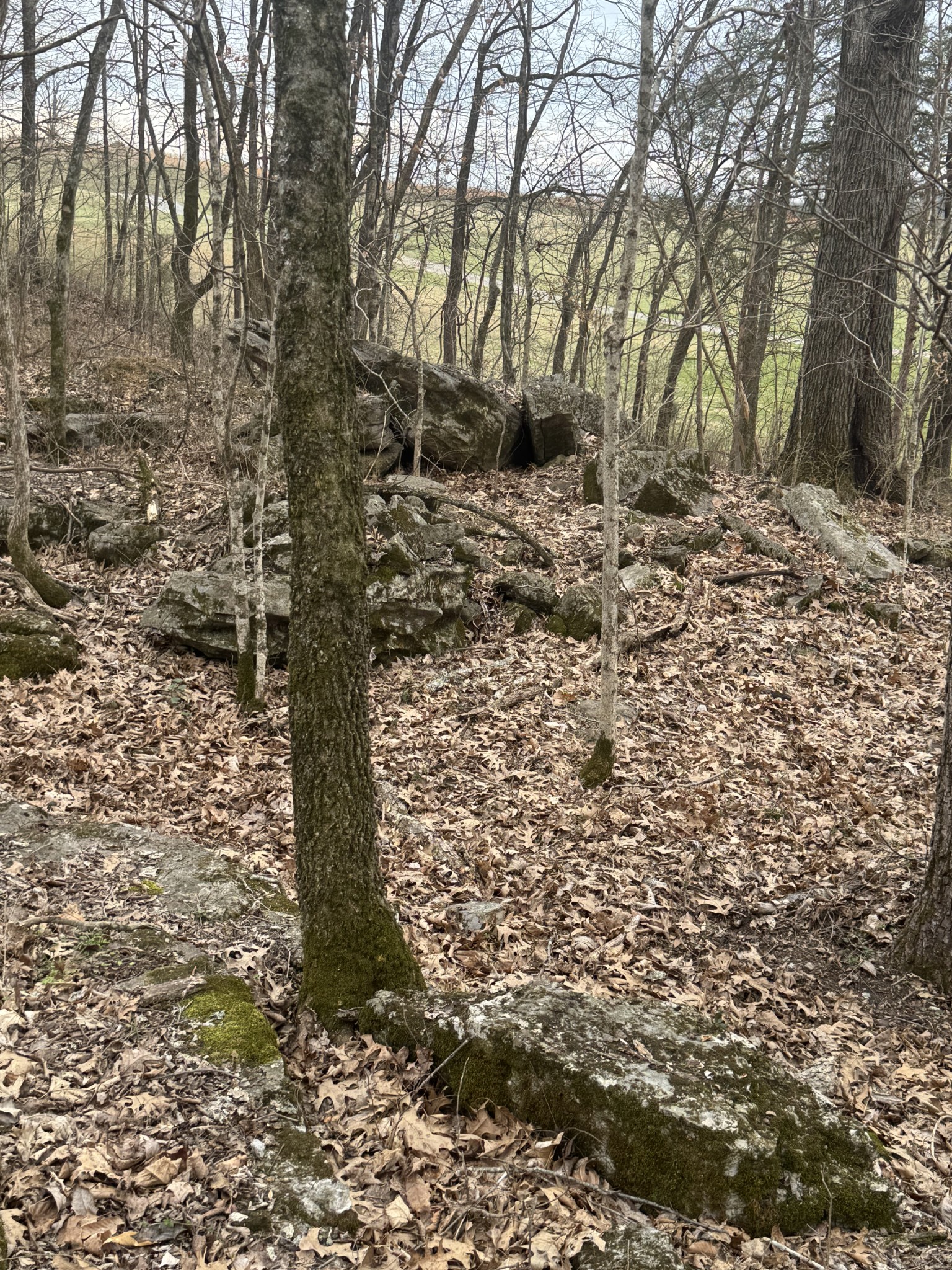 0 Highway 41 A, N Shelbyville TN 37160