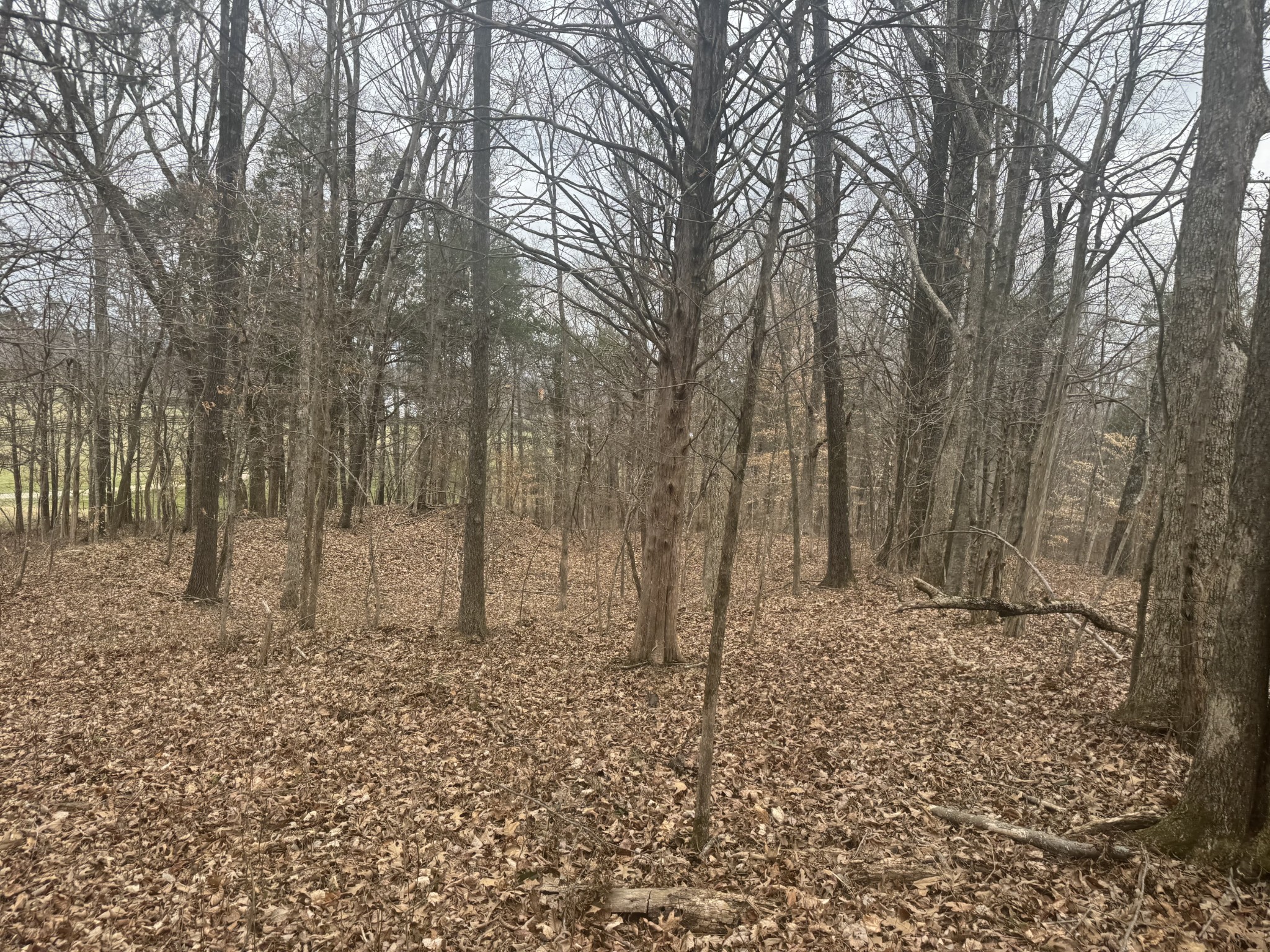 0 Highway 41 A, N Shelbyville TN 37160