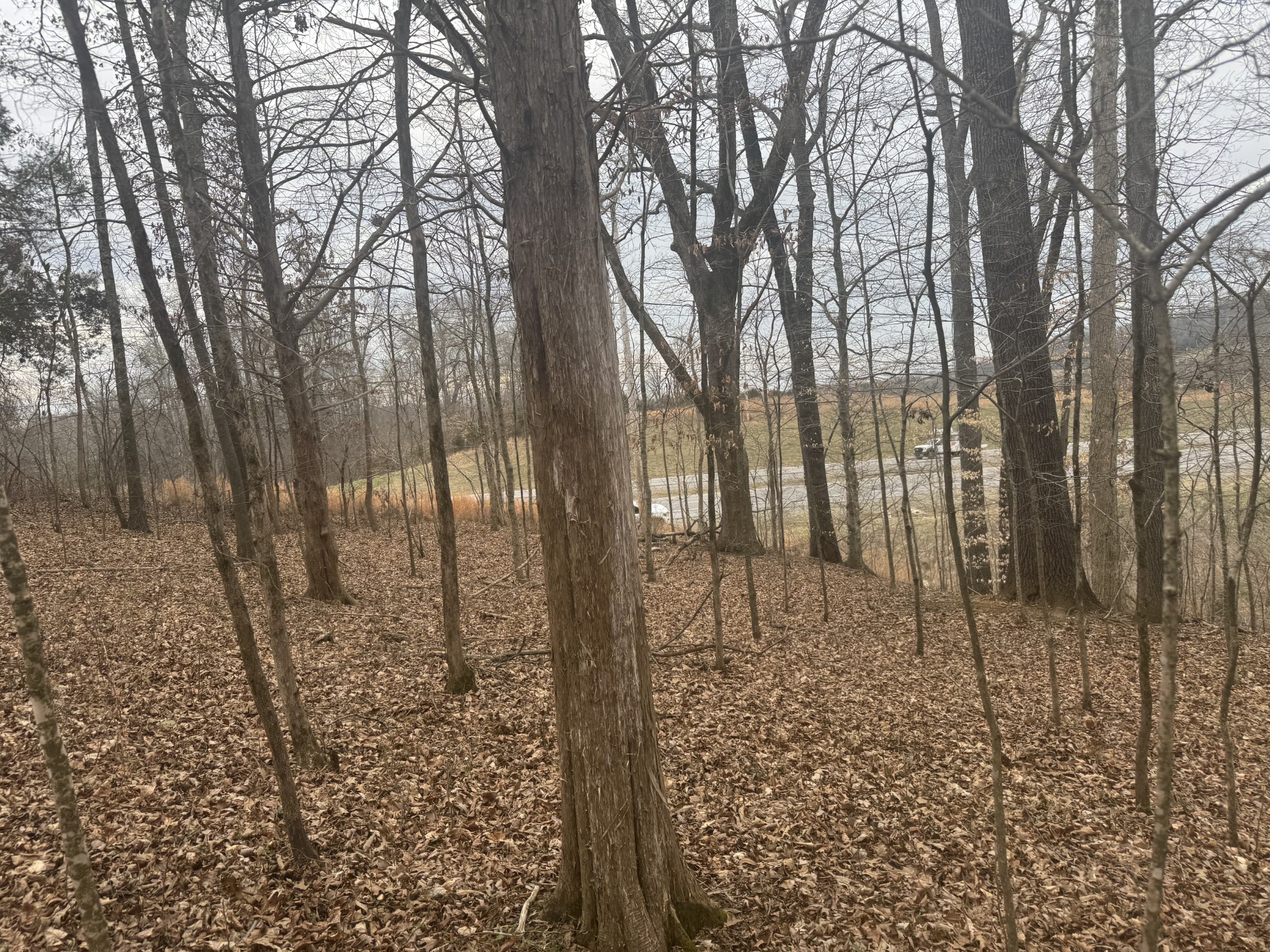 0 Highway 41 A, N Shelbyville TN 37160