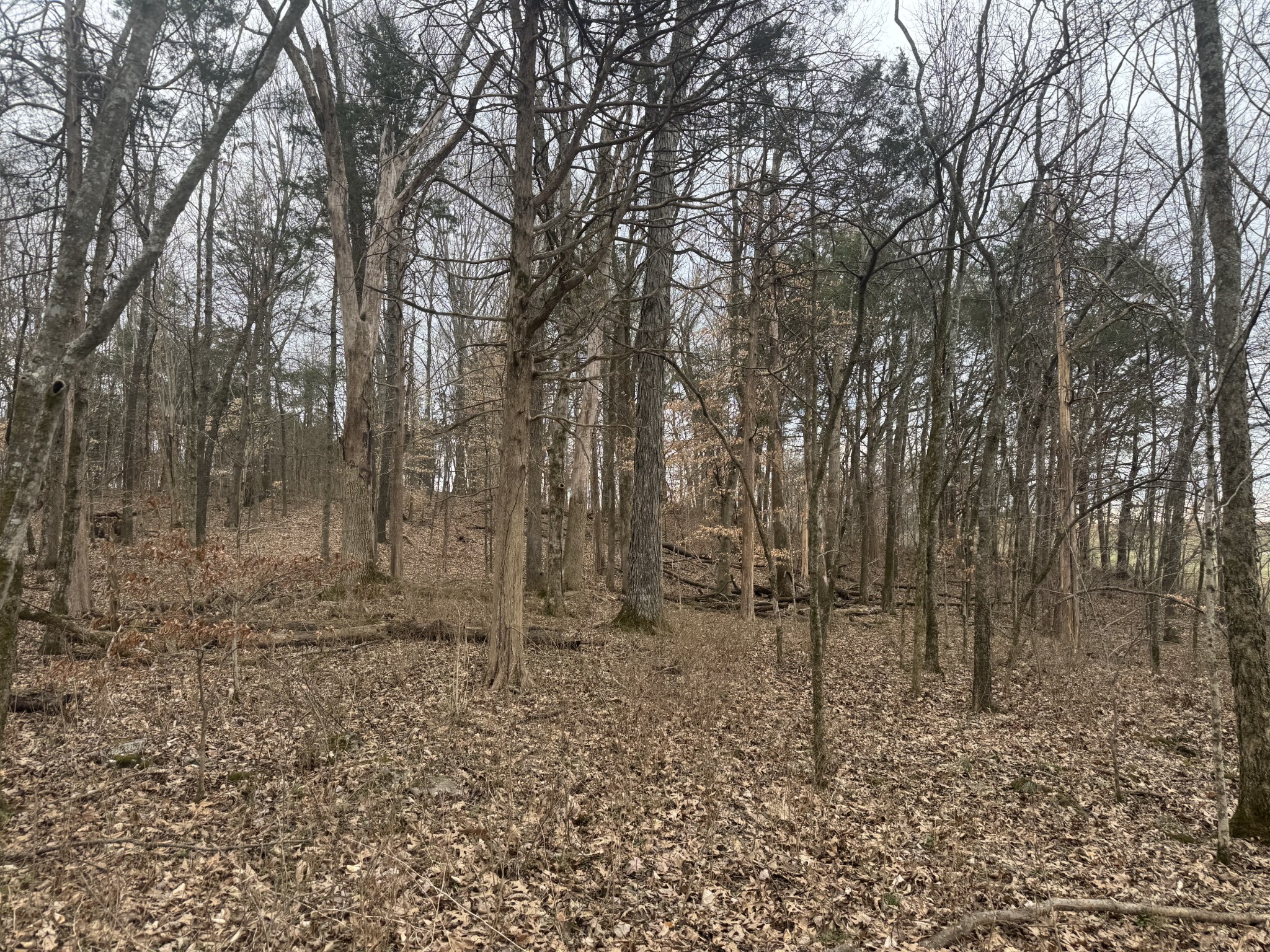 0 Highway 41 A, N Shelbyville TN 37160