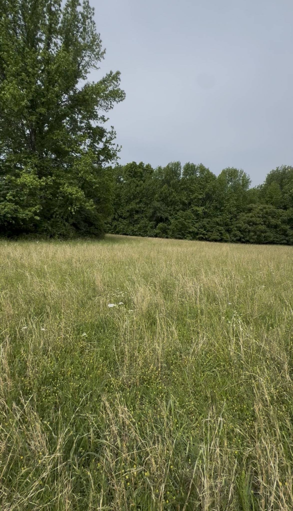 0 Riverview Road Mount Juliet TN 37122