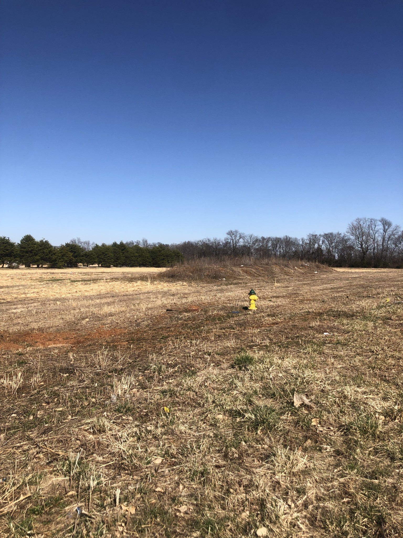 1 Rucker Lane Murfreesboro TN 37128