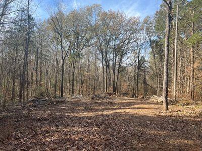 21 Bayview Drive Bumpus Mills TN 37028