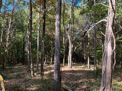 21 Bayview Drive Bumpus Mills TN 37028