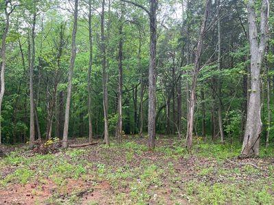 21 Bayview Drive Bumpus Mills TN 37028