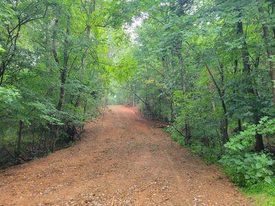 21 Bayview Drive Bumpus Mills TN 37028