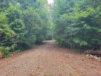 21 Bayview Drive Bumpus Mills TN 37028