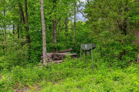 4441 Raccoon Mountain Road Chattanooga TN 37419