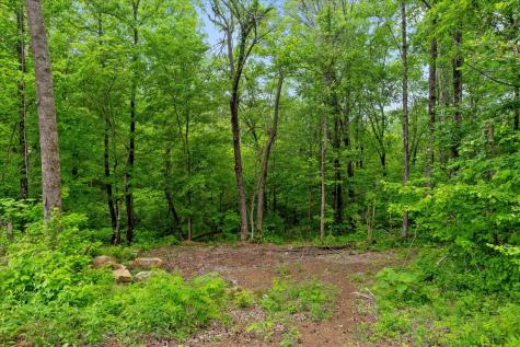 4441 Raccoon Mountain Road Chattanooga TN 37419