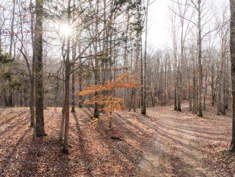 6 Pinewood Road Nunnelly TN 37137