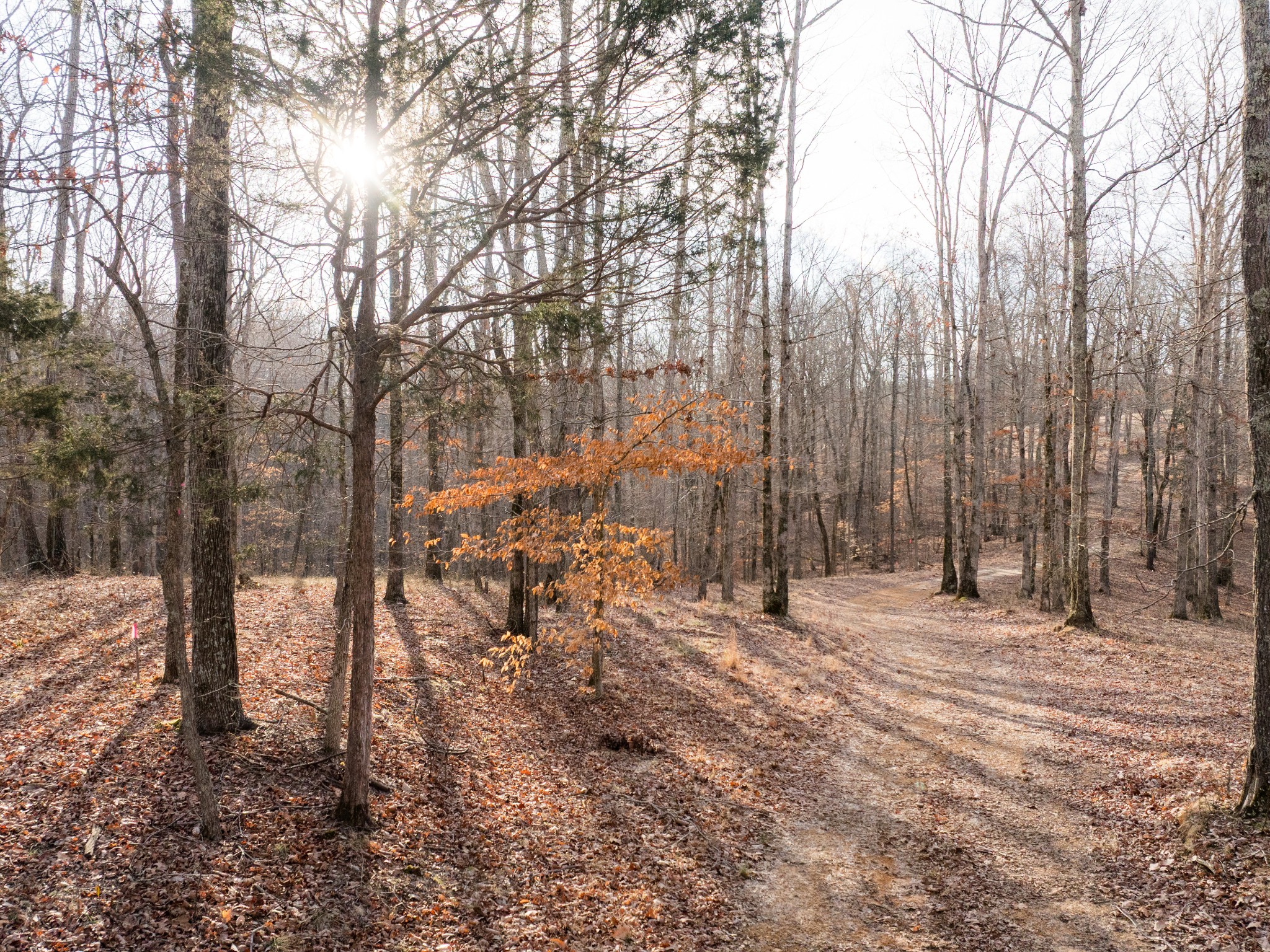 6 Pinewood Road Nunnelly TN 37137