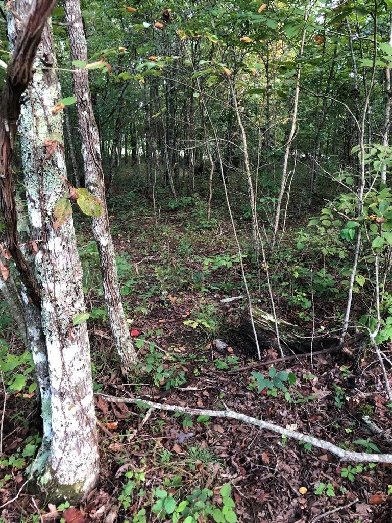 39 Luka Lane Crossville TN 38572