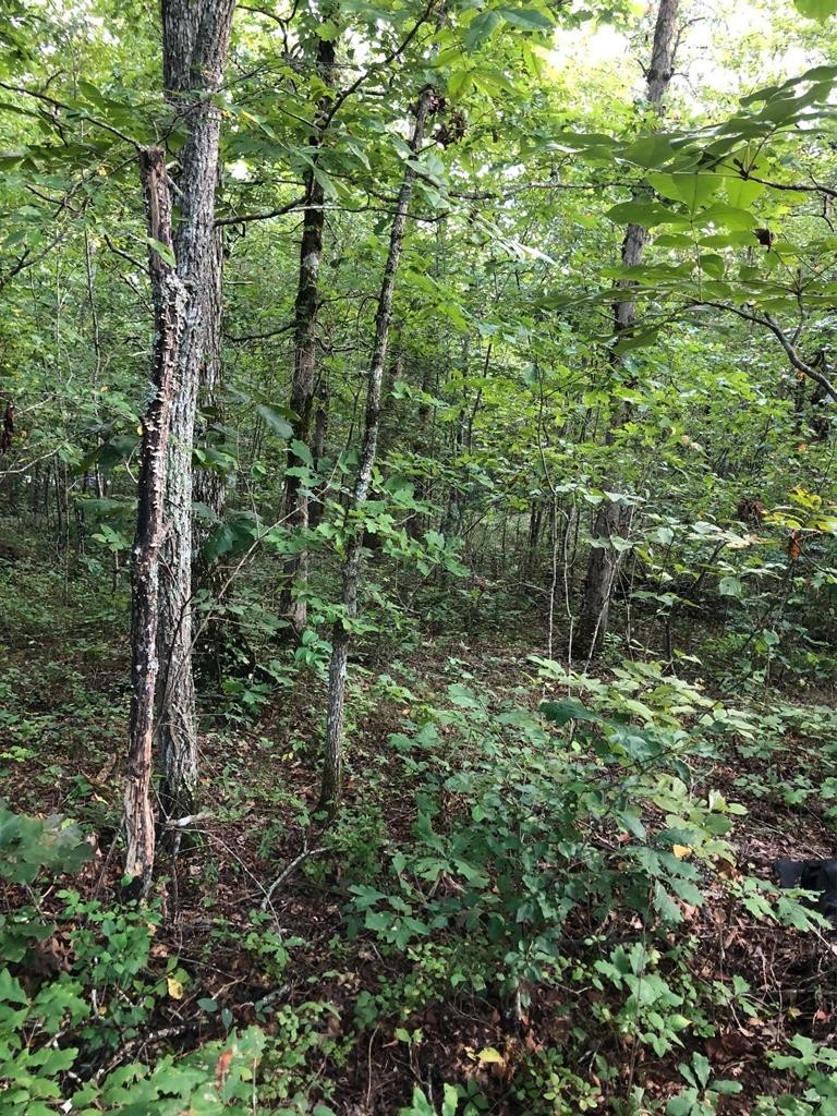 39 Luka Lane Crossville TN 38572