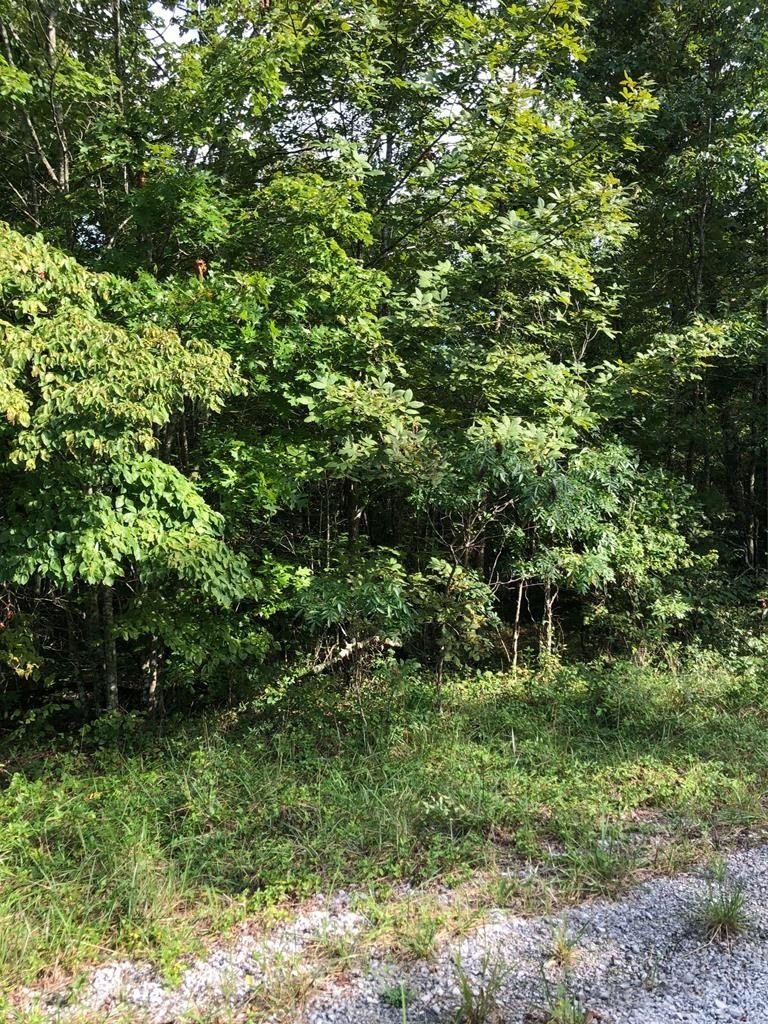 39 Luka Lane Crossville TN 38572