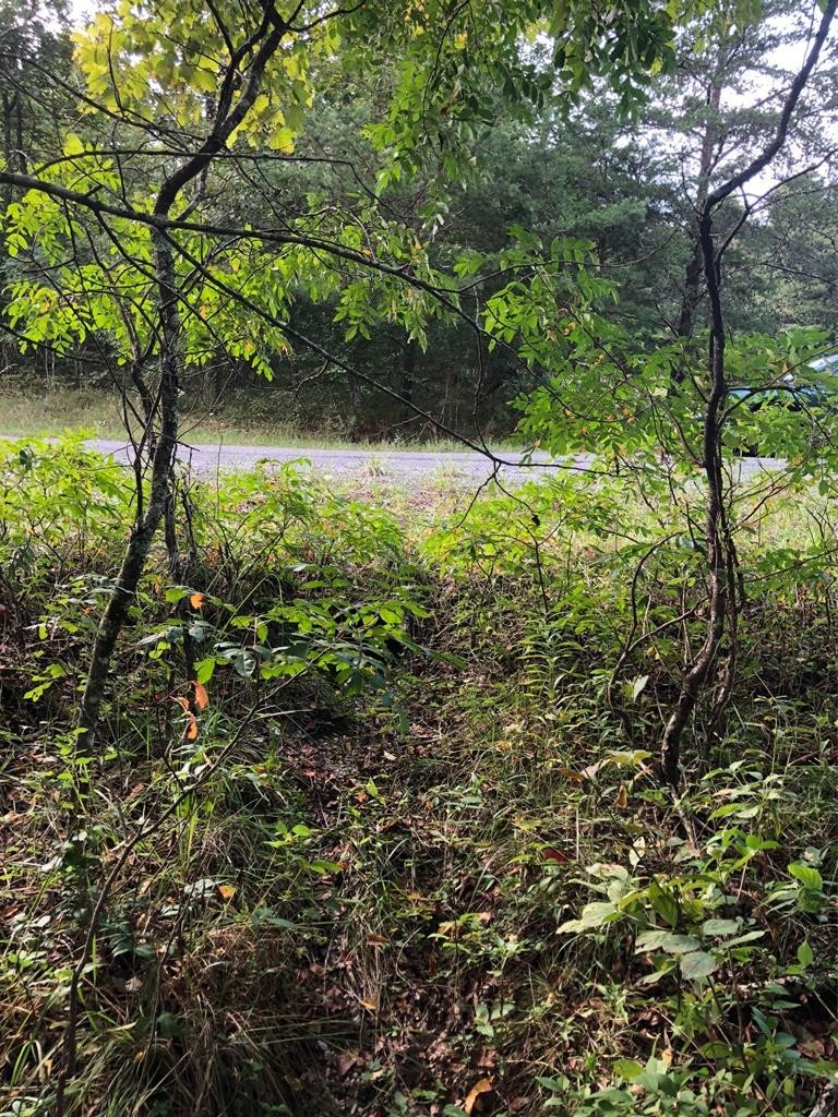 39 Luka Lane Crossville TN 38572