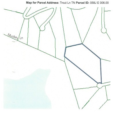 4 F Trout Lane Hilham TN 38568