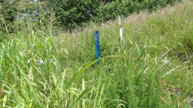 4 F Trout Lane Hilham TN 38568