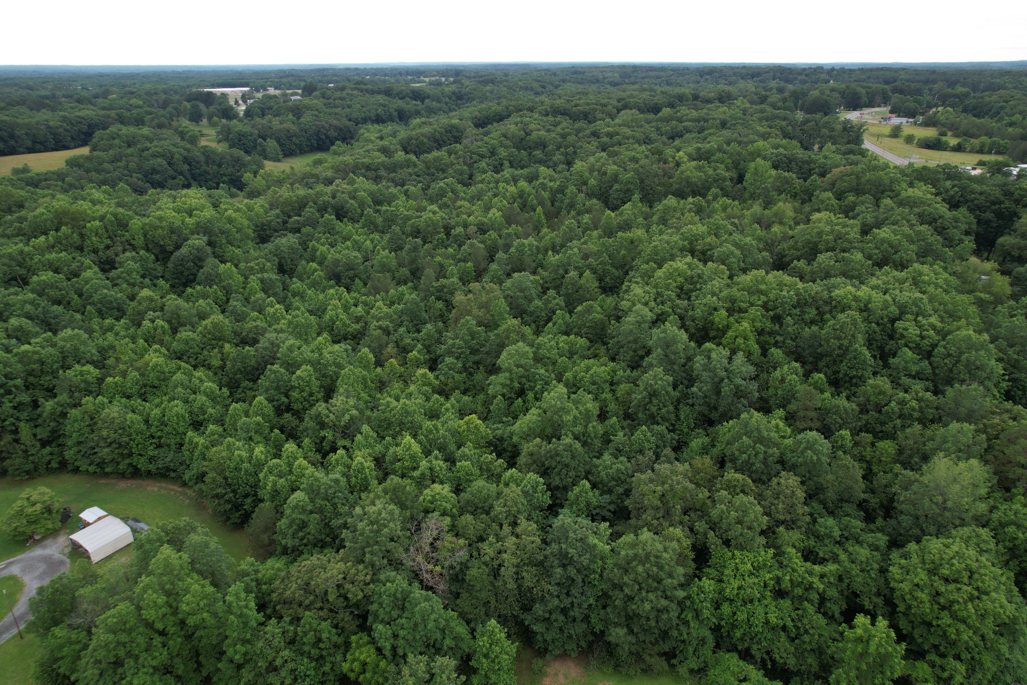 0 Defeated Creek Road Centerville TN 37033