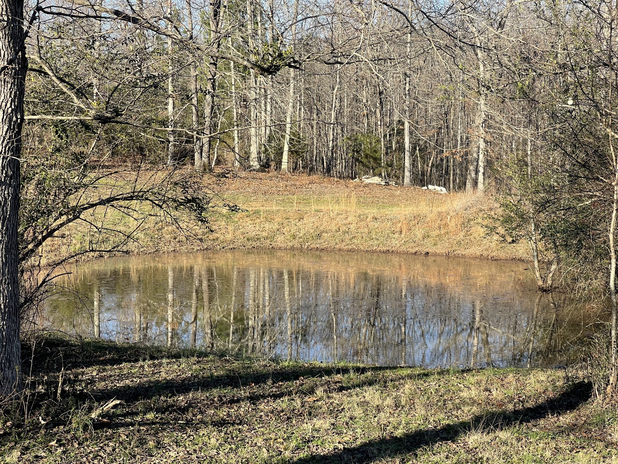 0 Defeated Creek Road Centerville TN 37033