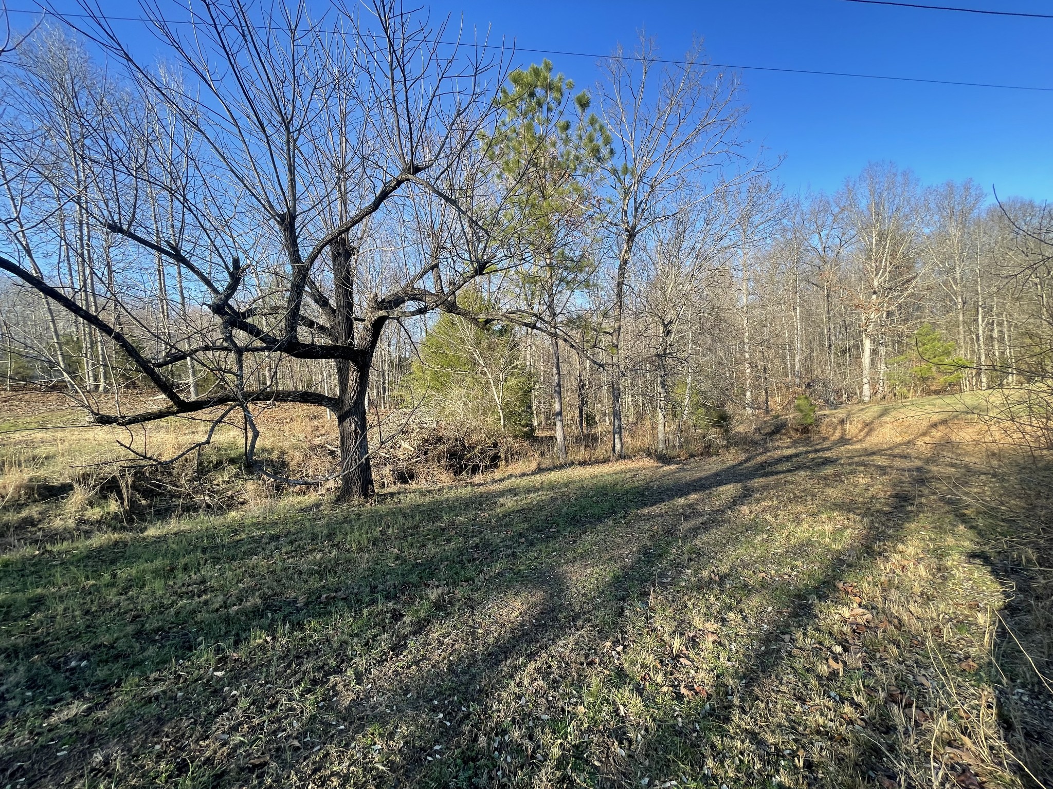 0 Defeated Creek Road Centerville TN 37033