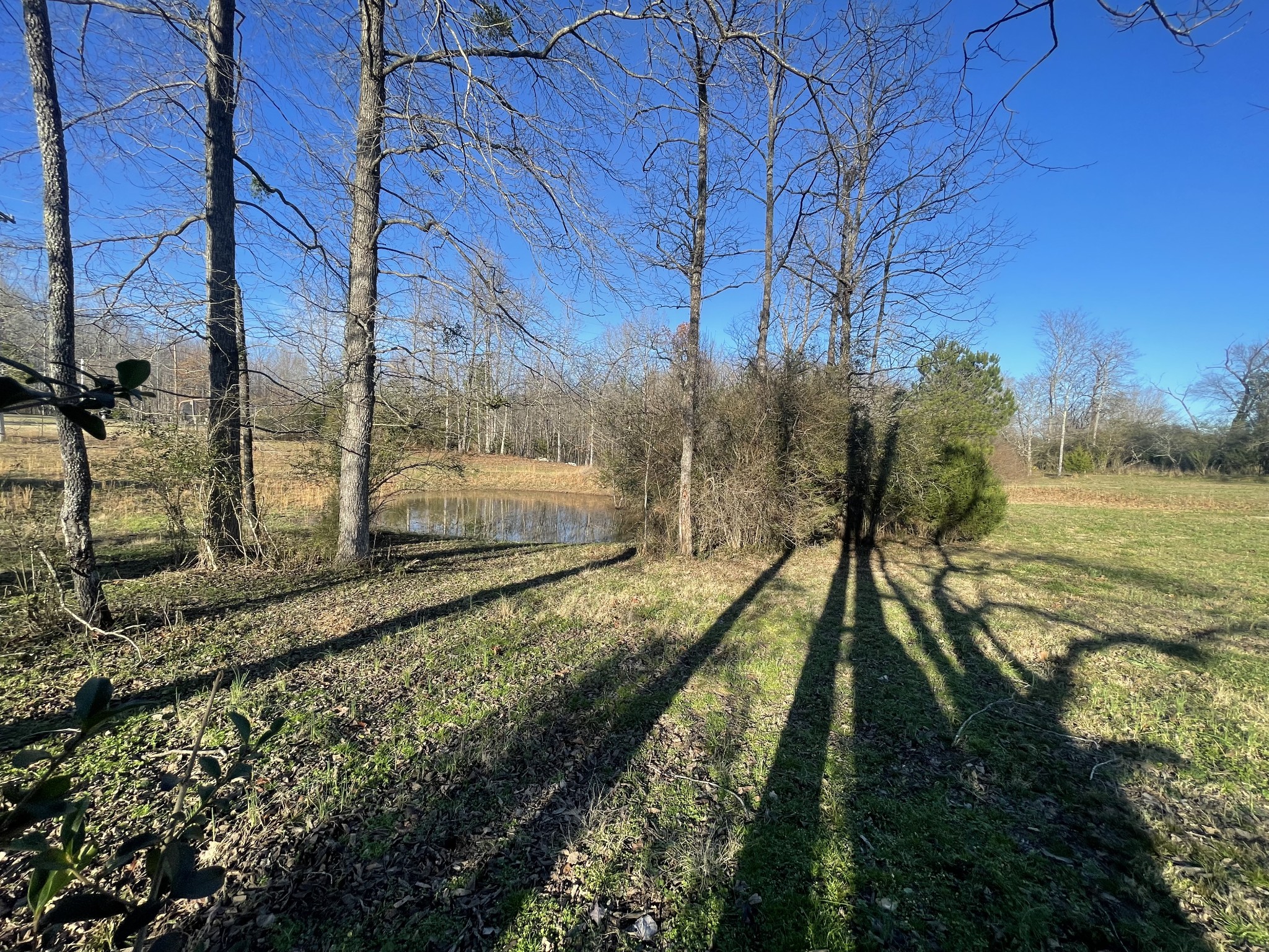 0 Defeated Creek Road Centerville TN 37033