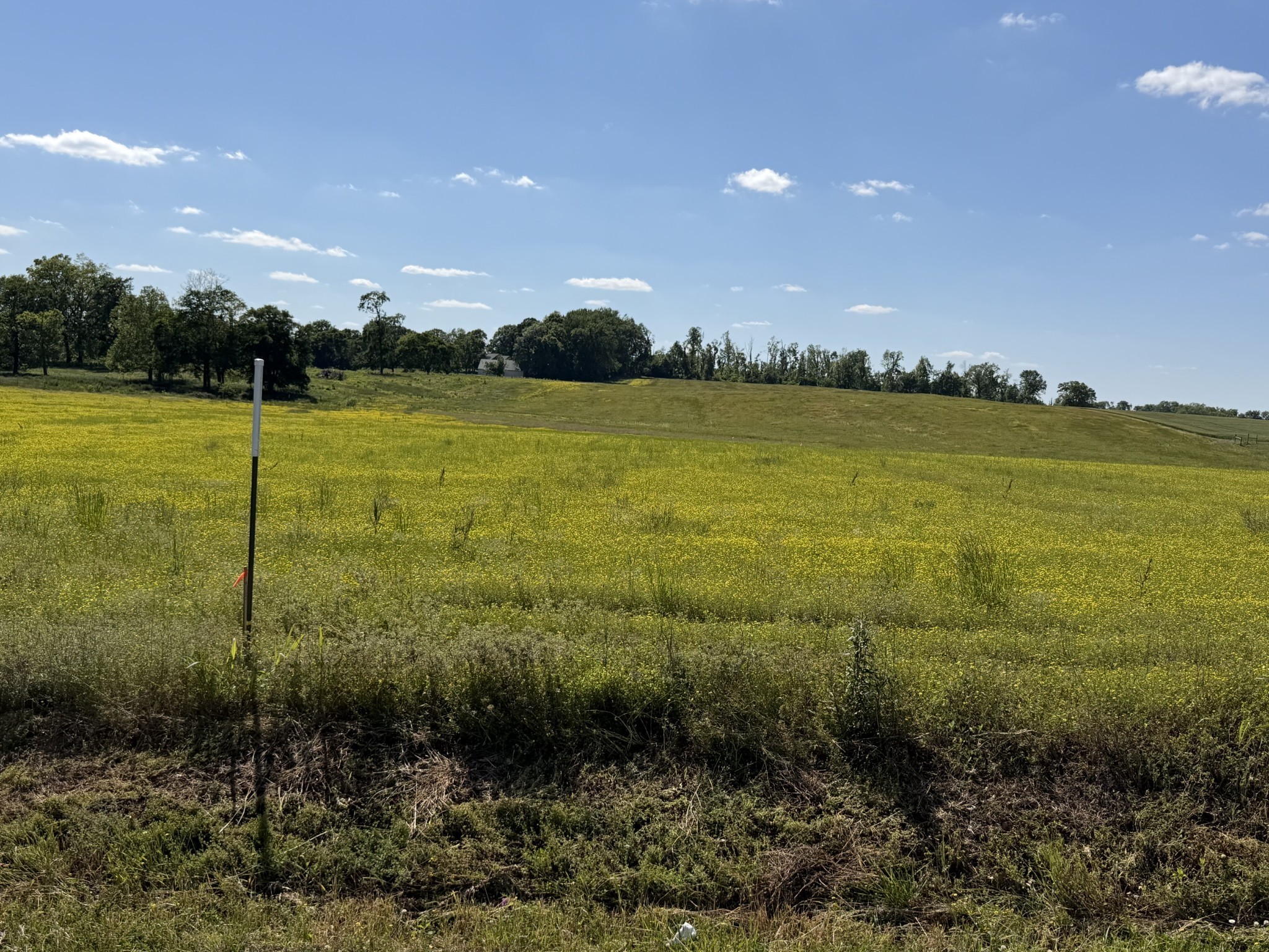 0 Pinson Road Springfield TN 37172