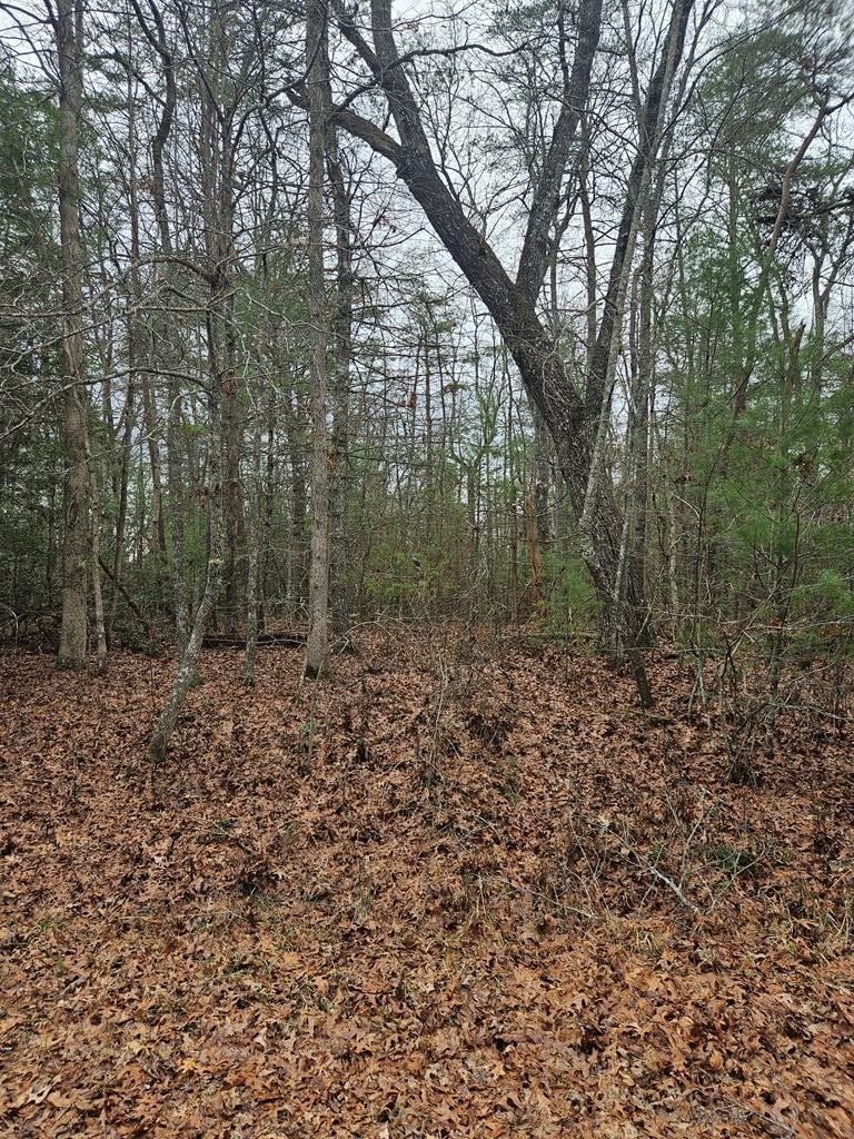 2025 Menasha Drive Crossville TN 38572