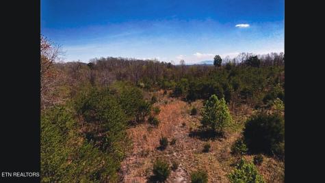 317 Mountain View Drive Vonore TN 37885
