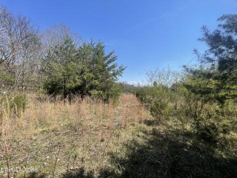 317 Mountain View Drive Vonore TN 37885