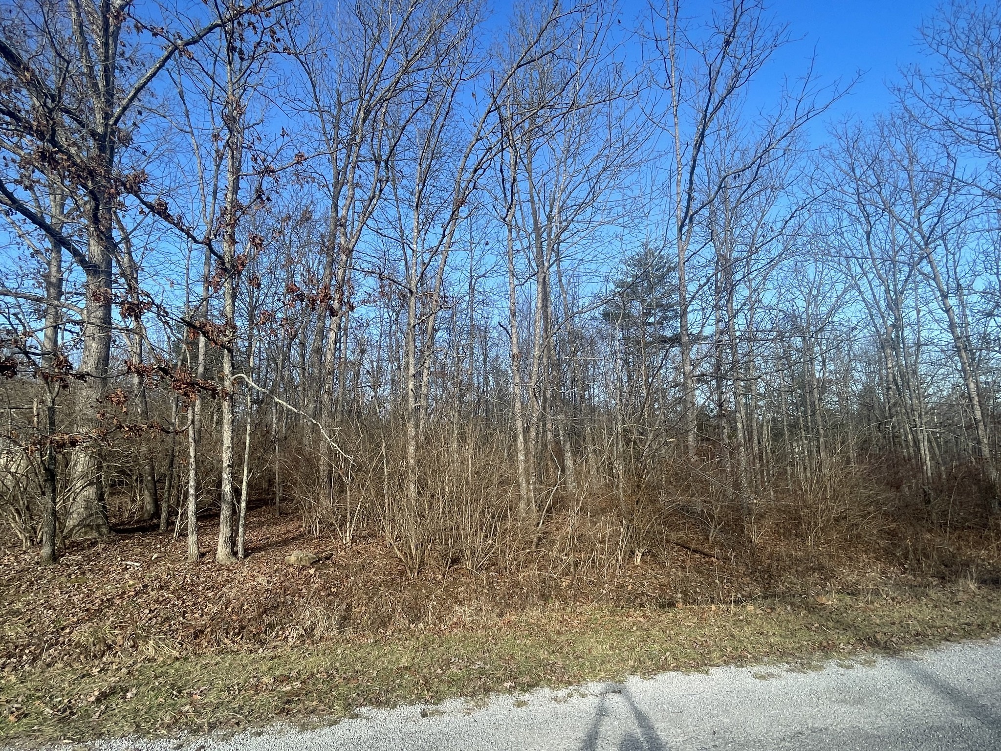 1004 Hopi Drive Crossville TN 38572