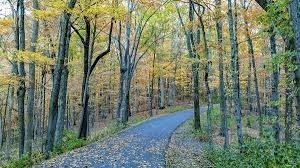21 Vaughns Gap Road Nashville TN 37205