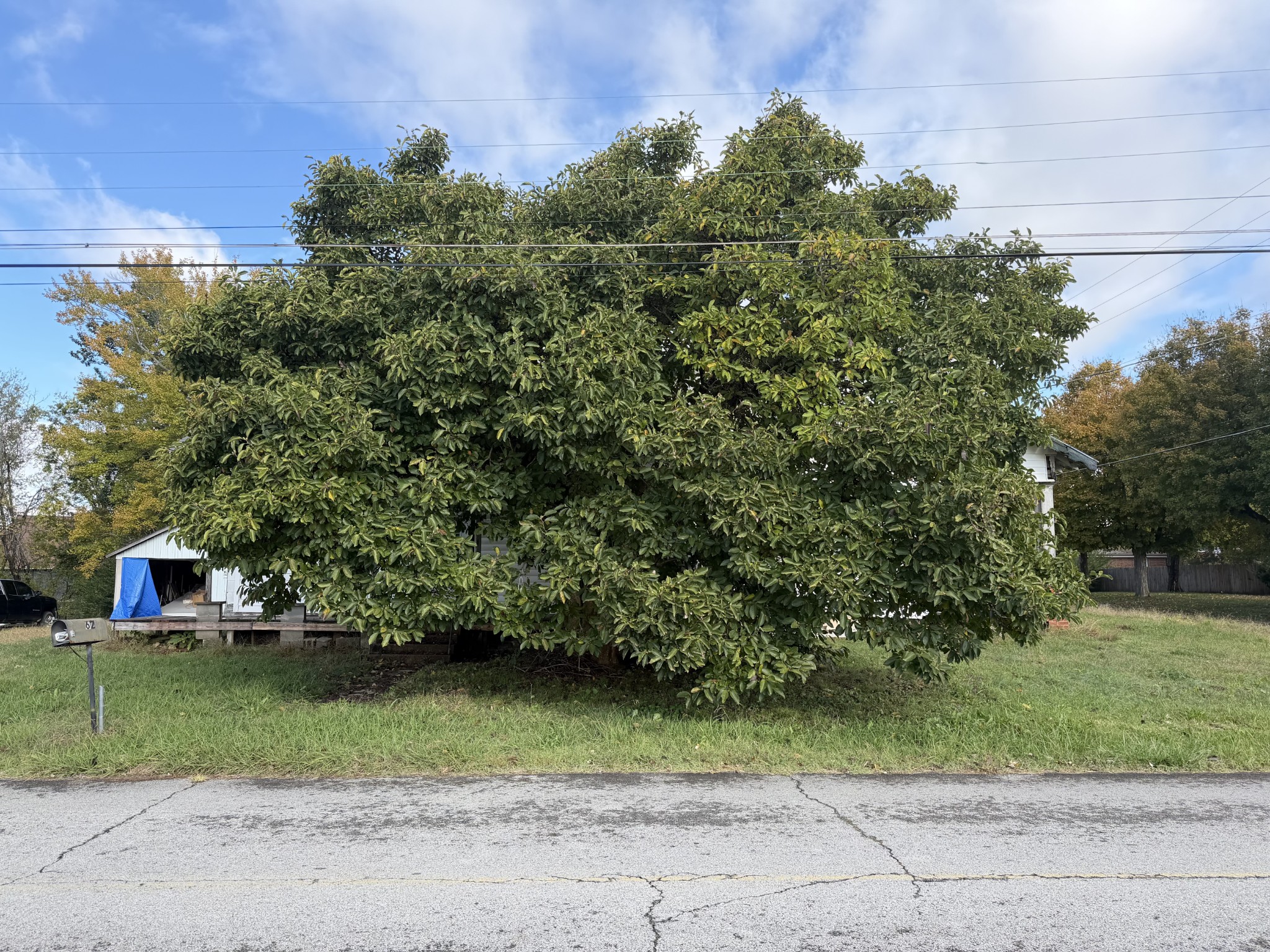 62 High St, E Mc Ewen TN 37101
