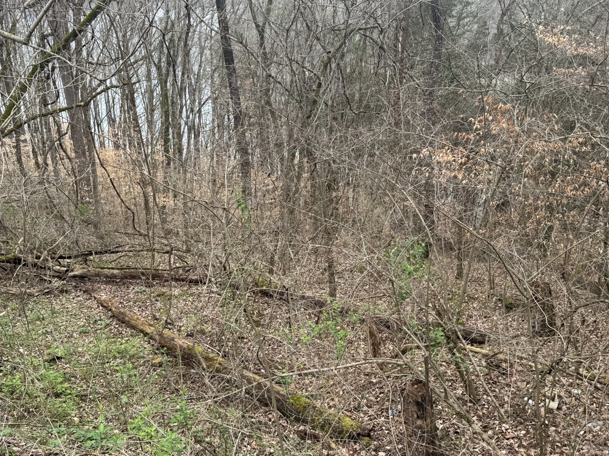 0 Lakeside Drive Smithville TN 37166