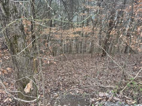 0 Lakeside Drive Smithville TN 37166
