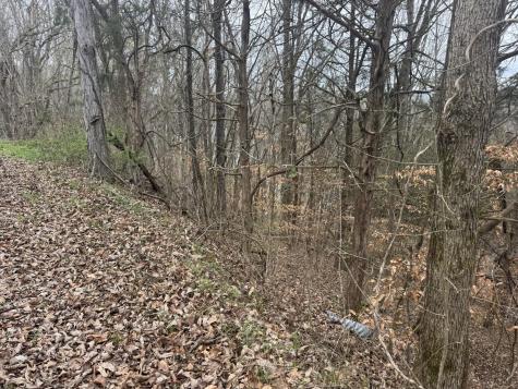 0 Lakeside Drive Smithville TN 37166
