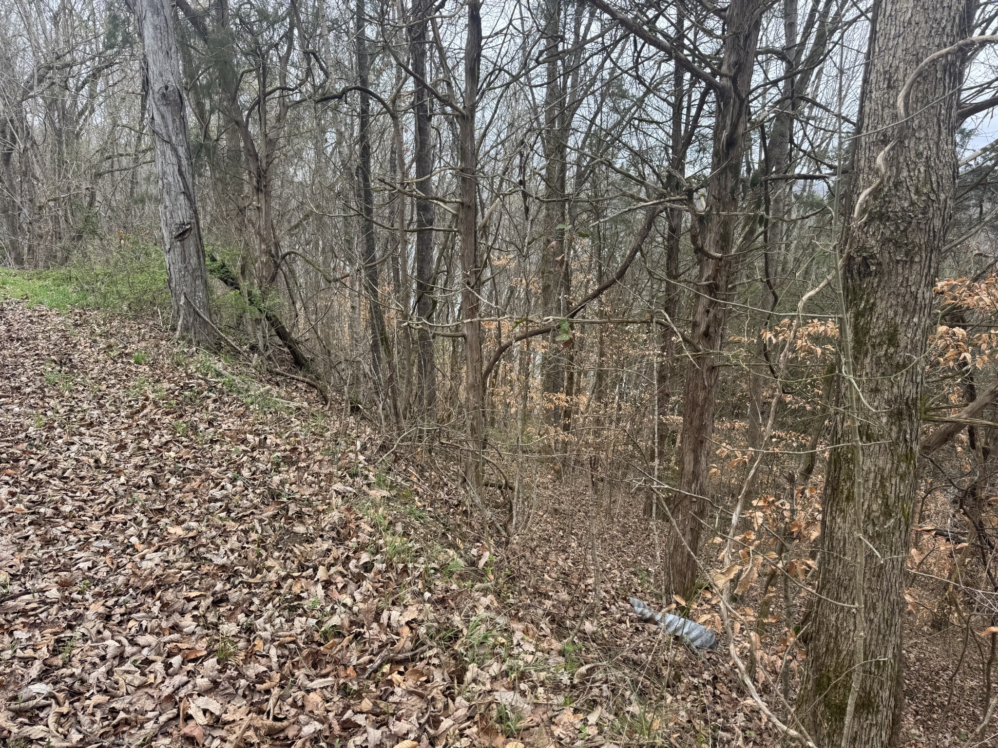 0 Lakeside Drive Smithville TN 37166