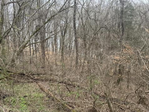 0 Lakeside Drive Smithville TN 37166