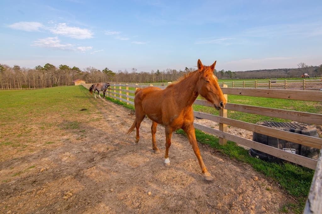 0 Lot 49 Shale Trail Spencer TN 38585