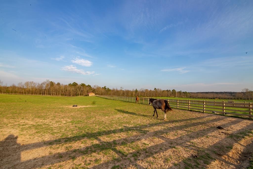 0 Lot 49 Shale Trail Spencer TN 38585