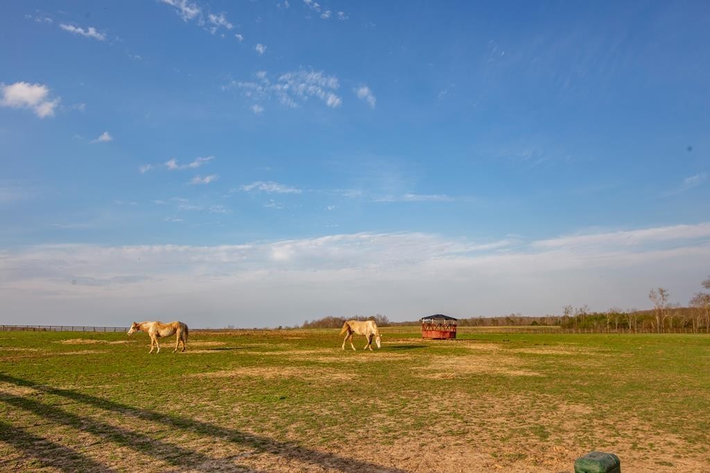 0 Lot 49 Shale Trail Spencer TN 38585