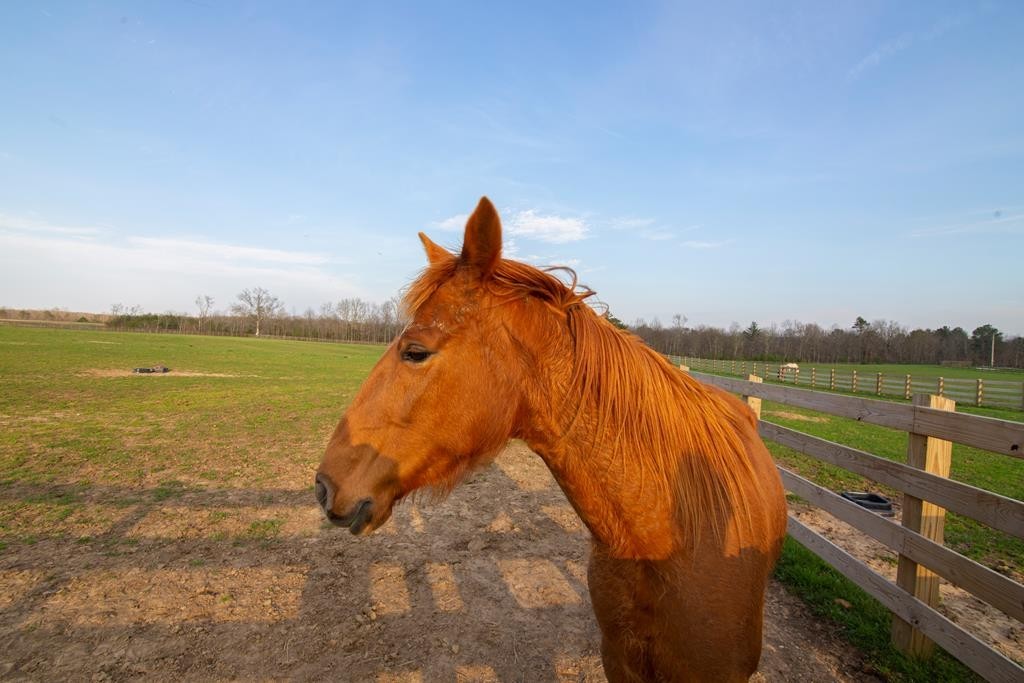 0 Lot 49 Shale Trail Spencer TN 38585
