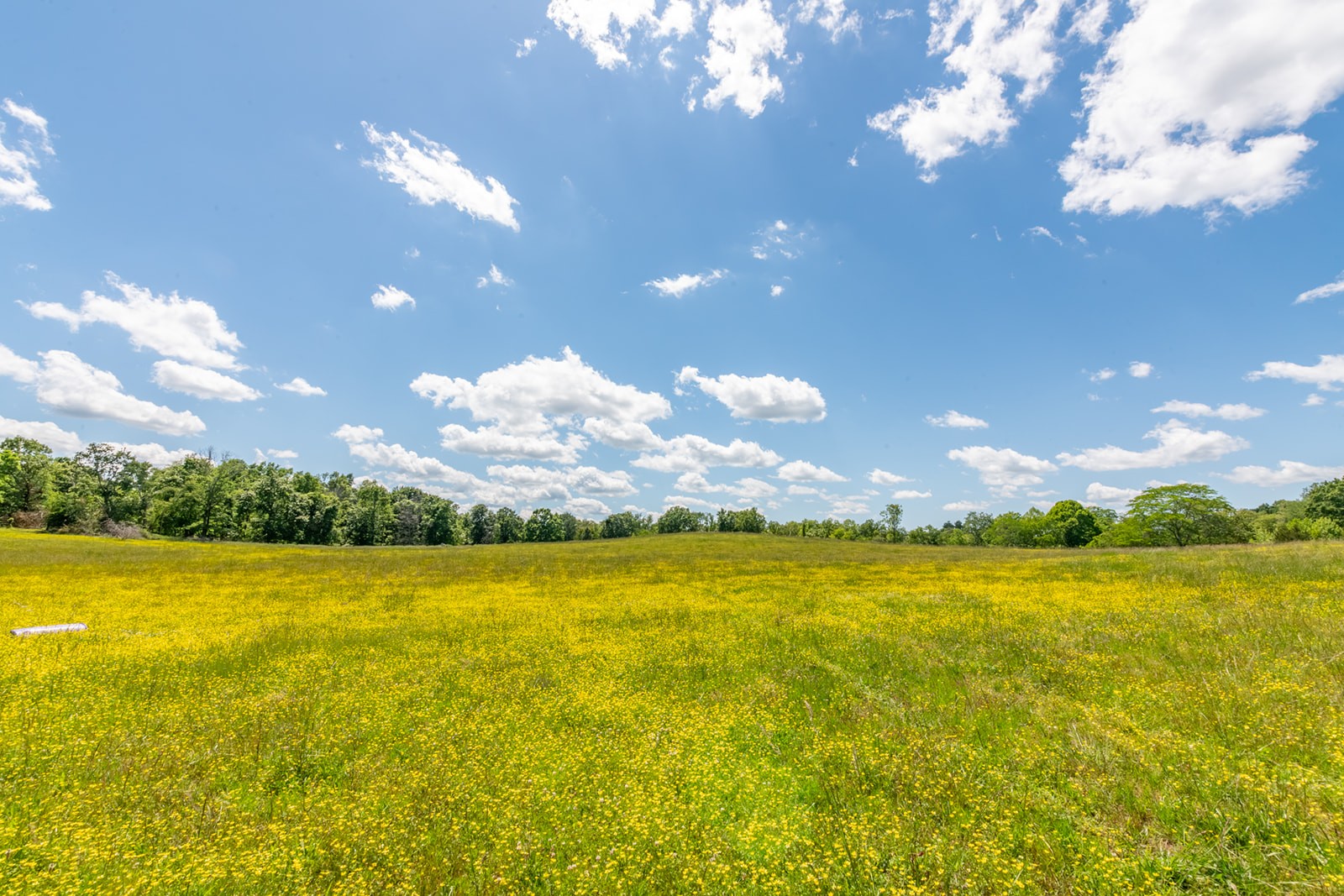 592 Eno Road Dickson TN 37055
