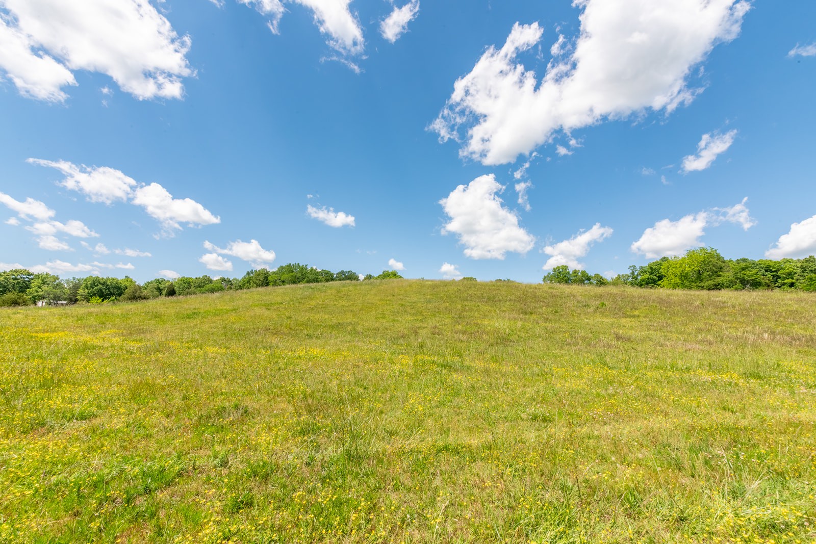 592 Eno Road Dickson TN 37055