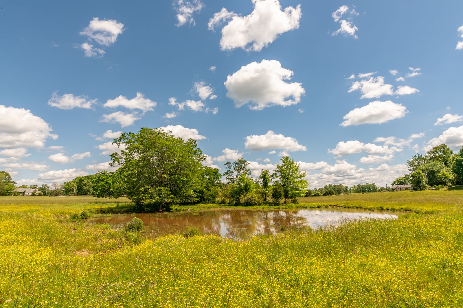 592 Eno Road Dickson TN 37055