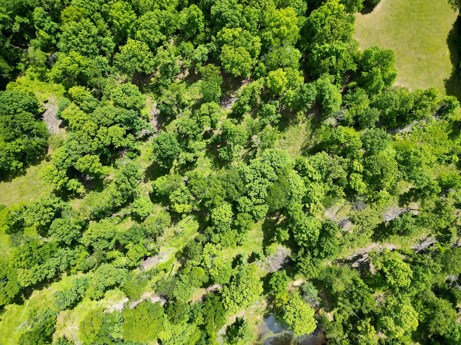 592 Eno Road Dickson TN 37055